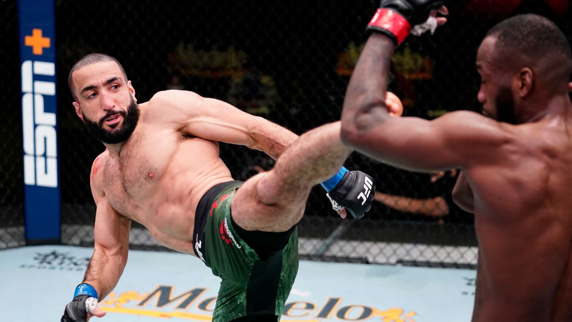 他们不仅在 他们不仅在