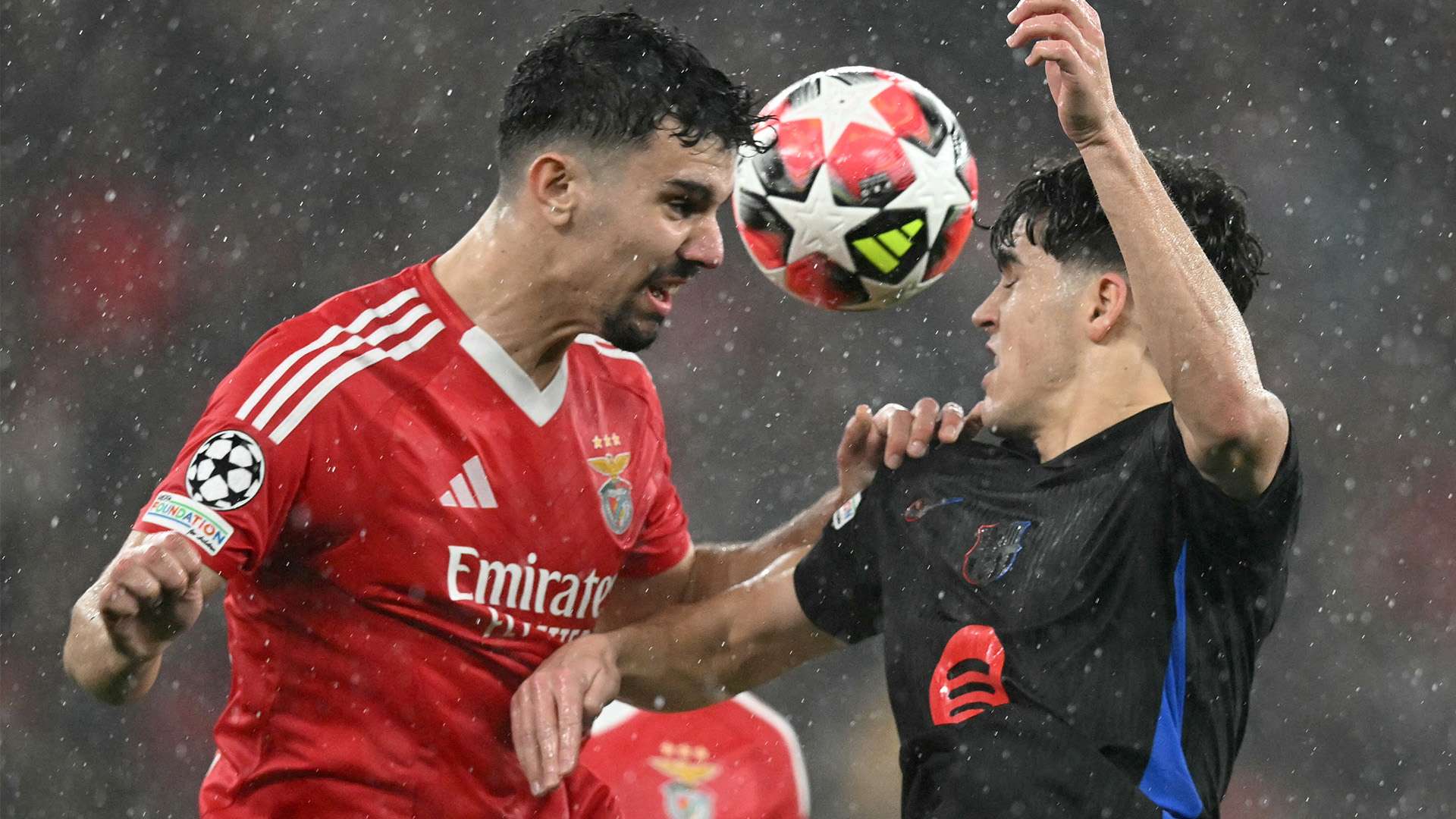 无论是球员 无论是球员