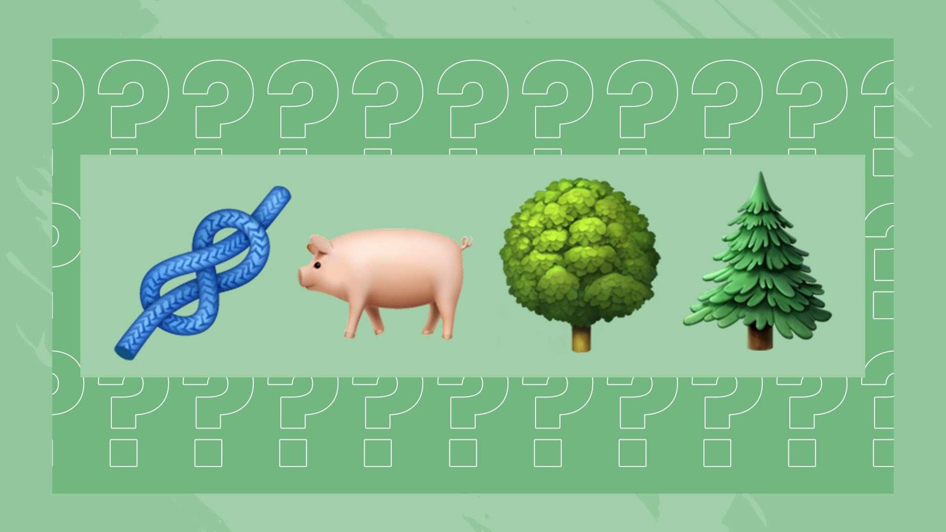 多的奇蹟 多的奇蹟